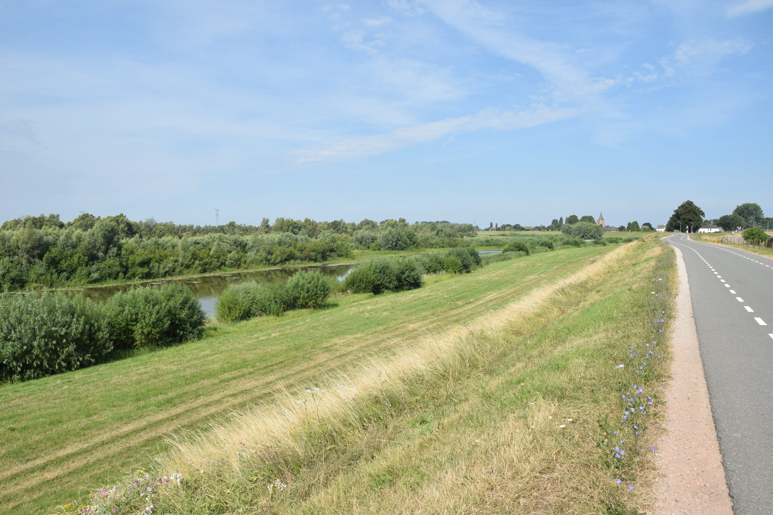 hiense waard