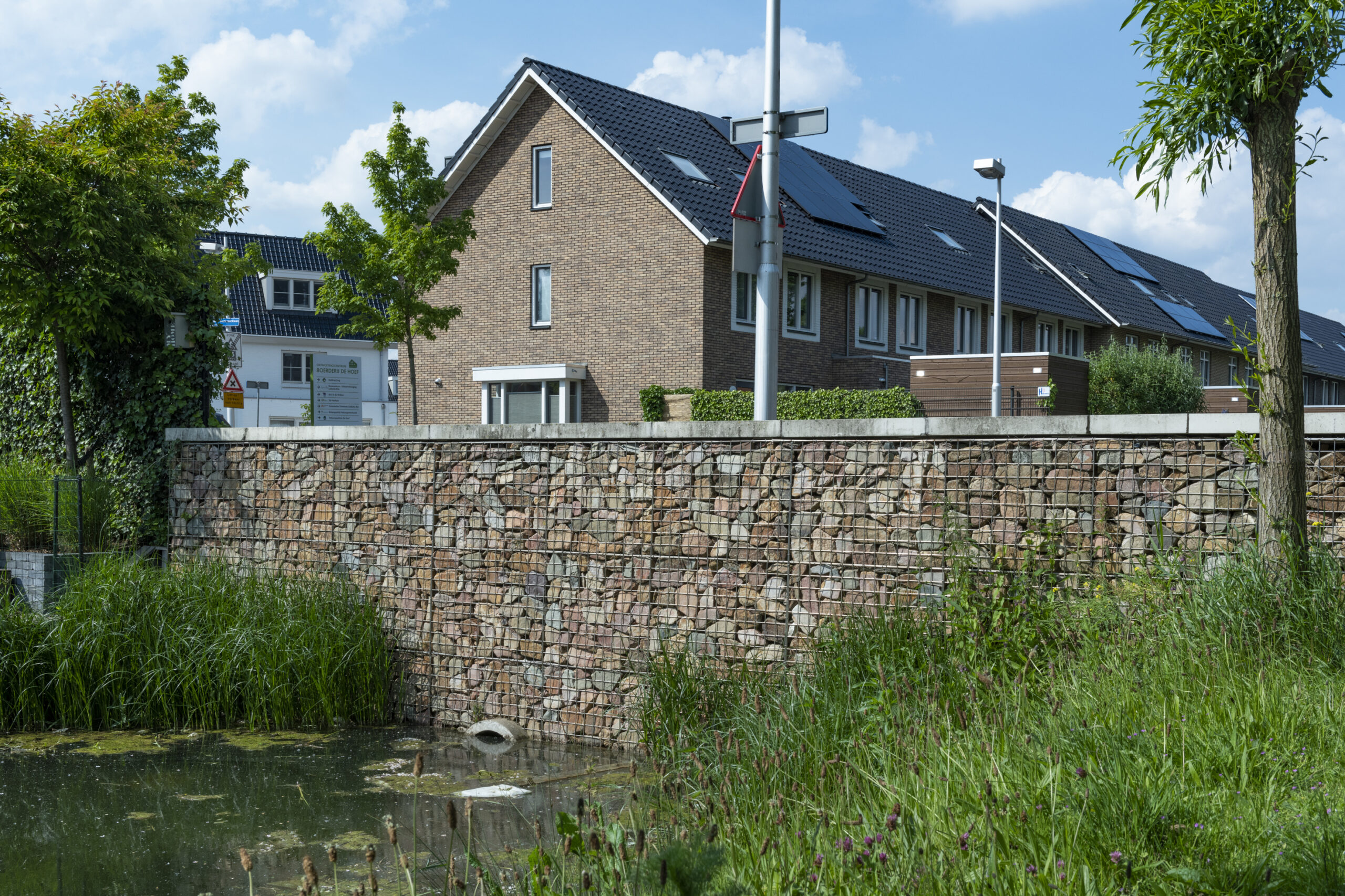 Quarzitische grauwacke in schanskorven